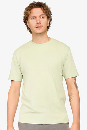 Alpha Basic T-Shirt Regular Fit Frosty Green